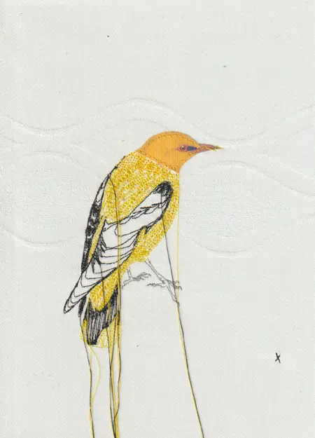 Judith Koning, Wielewaal, 125 euro, Mixed media with vintage bird book and damask, unframed, 24x18 cm