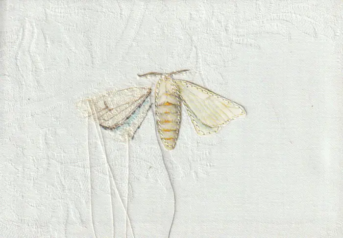 Judith Koning, Zijde vlinder, 175 euro, Mixed media on damask, unframed, 11x16 cm