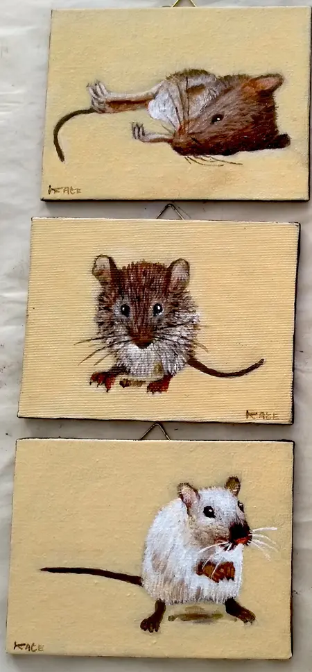 Koos ten Kate, Muizen, Mixed media on wood in various frames, from 10x10 cm, €.30,- en €.35,- euro