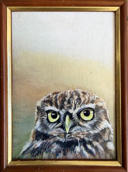 Liesbet Milort, Steenuil, 185 euro, Mixed media in vintage frame, 20x15 cm