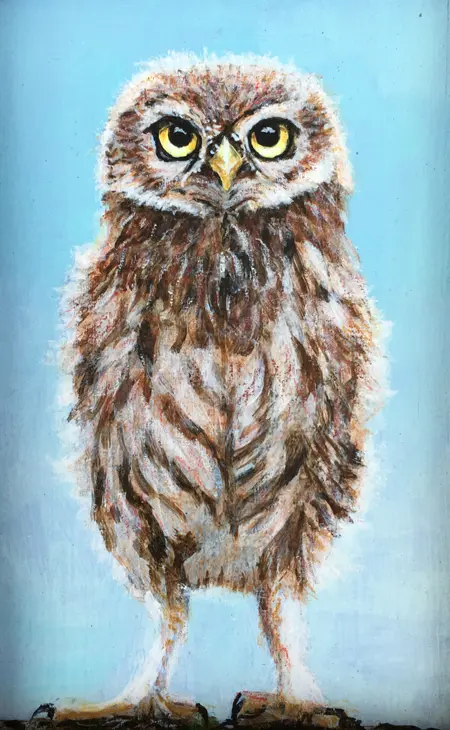 Liesbet Milort, Uiltje in houten lijstje, Acrylic on wood, 14x9 (unframed), €.140,-