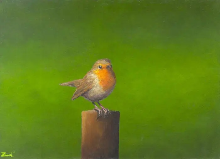 Marc van der Zwet, Attente Roodborst, 420 euro, Oil on oak panel, unframed, 20,7x14,9 cm