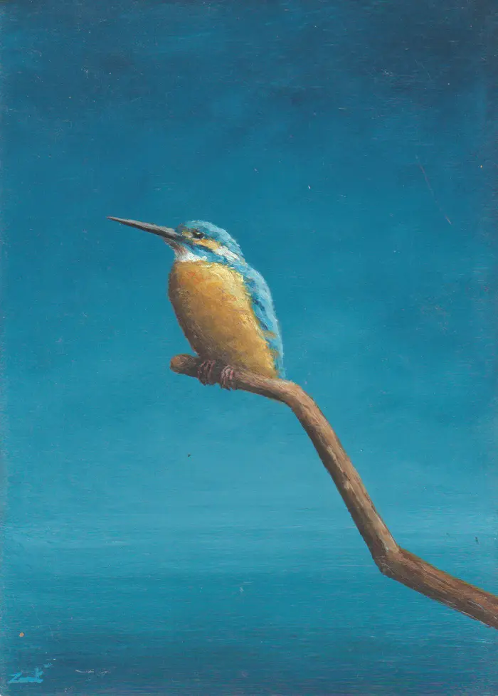 Marc van der Zwet, IJsvogel gespitst, 400 euro, Oil on oak, unframed, 14,8x20,8 cm