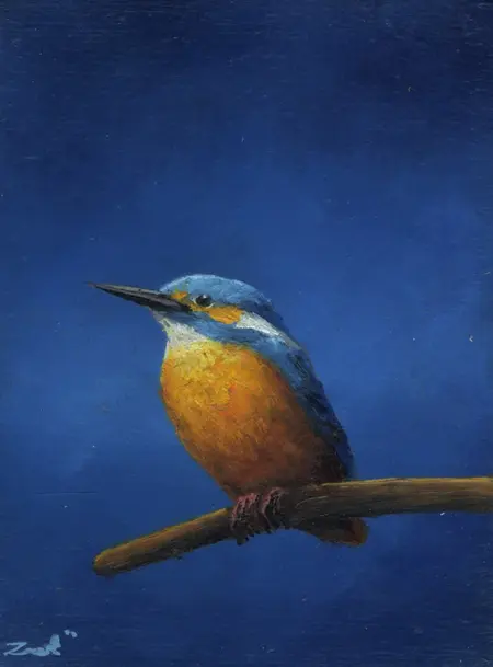 Marc van der Zwet, IJsvogel kijkt vooruit, 200 euro, Oil on panel in frame, 8x10,8 cm