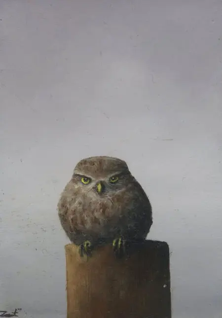 Marc van der Zwet, Klein steenuiltje op grijs, 210 euro, Oil on panel in wooden frame, 8,3x11,2 cm