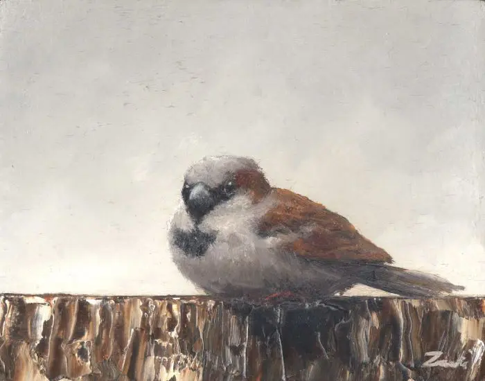 Marc van der Zwet, Manmus op rand grijs, 195 euro, Oil on panel in bamboo frame, 8,4x10,8 cm