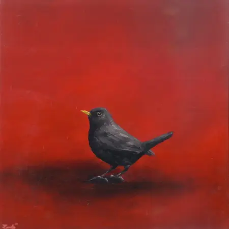 Marc van der Zwet, Merel op vierkant rood, 420 euro, Oil on panel in white wooden frame, 17,2x17,2 cm
