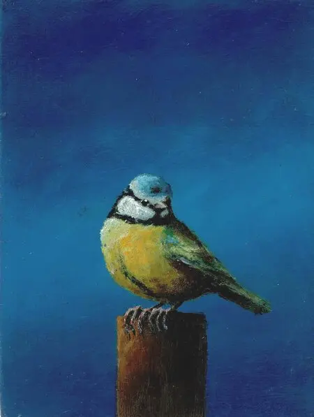 Marc van der Zwet, Pimpelmees kijkt om, 8,3x11,2 cm, €.195,-, Oil MDF in frame