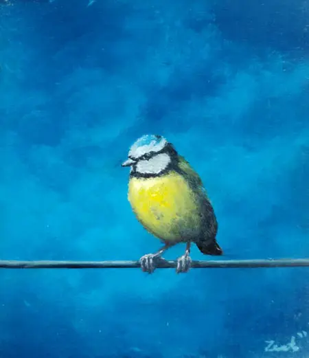 Marc van der Zwet, Pimpelmees op draad op blauw, 180 euro, Oil on oak panel, unframed, 9,1x10,2 cm