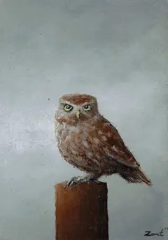 Marc van der Zwet, Steenuil op grijs op bamboe, Oil on bamboo, unframed, 5,4x7,8 cm, €.120,-