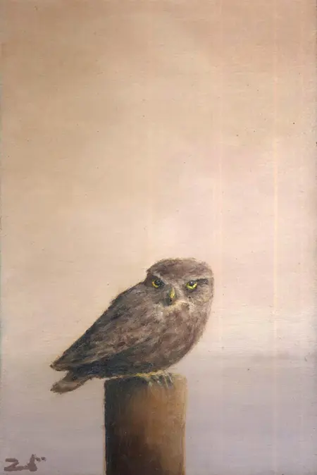 Marc van der Zwet, Steenuil op grijs, 310 euro, Oil on panel in bamboo frame, 14,7x9,7 cm