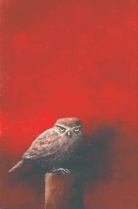 Marc van der Zwet, Steenuil op steenrood, 320 euro, Oil on panel in wooden frame, 9,7x14,7 cm