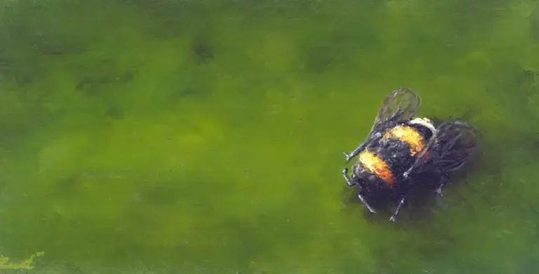 Marc van der Zwet, Verbaasde hommel liggend op groen, 250 euro, Oil on oak, unframed, 16,2x8,1x3 cm