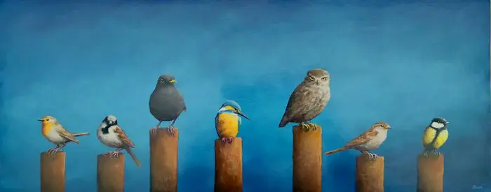 Marc van der Zwet, Vogelparade met merel en steenuil, 850 euro, Oil on panel in white wooden frame, 50,6x20,3 cm