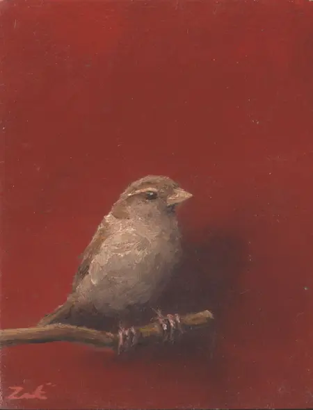Marc van der Zwet, Vrouwmua op takje op rood, 120 euro, Oil on bamboo, unframed, 5,4x6,8cm