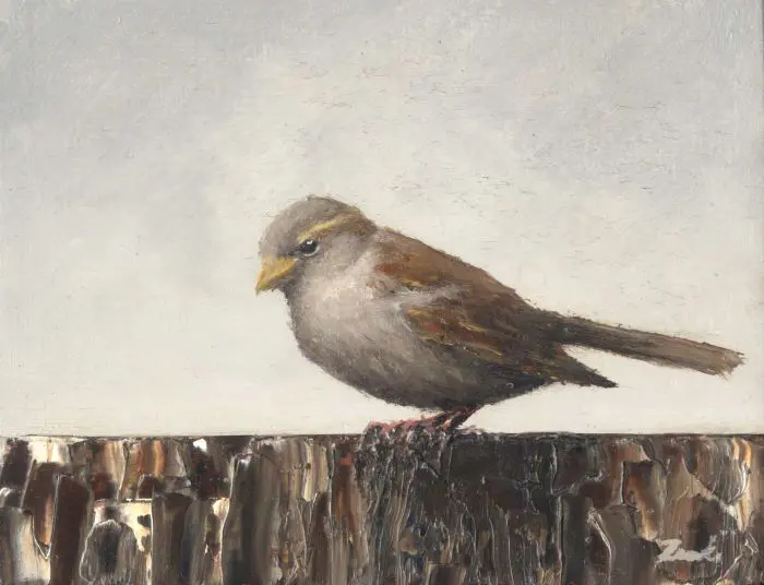 Marc van der Zwet, Vrouwmus op rand grijs, 195 euro, Oil on panel in bamboo frame, 8,4x10,8 cm