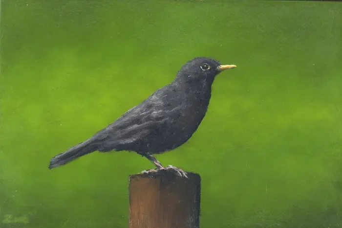 Marc van der Zwet, Wachtende merel op groen, 300 euro, Oil on panel in wooden frame, 14,8x9,9 cm