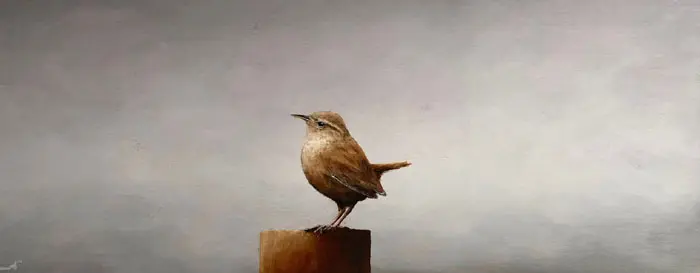 Marc van der Zwet, Winterkoning op liggend grijs, 650 euro, Oil on panel in white wooden frame, 45,5x17,7 cm