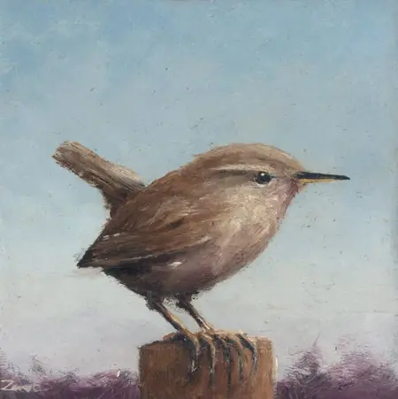 Marc van der Zwet, Winterkoning vierkant, 150 euro, Oil on panel in white wooden frame, 7,4x7,4 cm