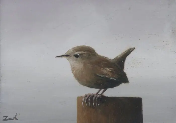 Marc van der Zwet, Winterkoninkje grijs, 200 euro, Oil on panel in wooden frame, 11x8 cm