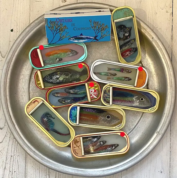 Ortaire de Coupigny, Fish tin long, 145 euro, Mixed media in fish tin, 15,5x5x3 cm