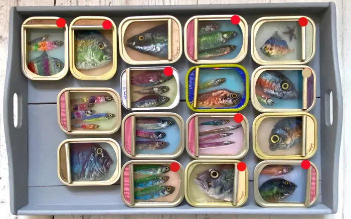 Ortaire de Coupigny, Fish, 145 euro, Mixed media in fish tin, 8x11 cm