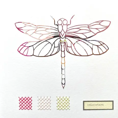 Renee Toonen, Libelle Anisoptera 2, 55 euro, Paper cutting with embroidery in wooden frame, 18x18 cm