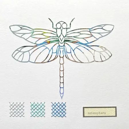 Renee Toonen, Libelle Anisoptera 3, 55 euro, Paper cutting with embroidery in wooden frame, 18x18 cm