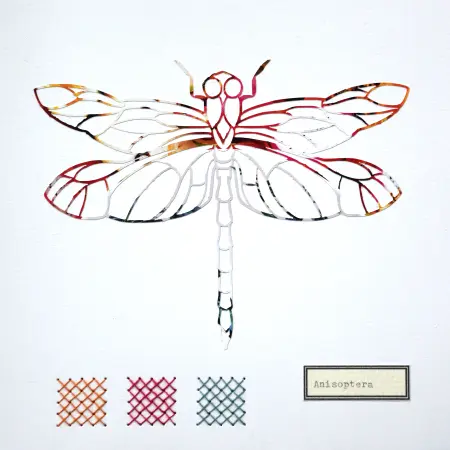 Renee Toonen, Libelle Anisoptera, 55 euro, Paper cutting with embroidery in wooden frame, 18x18 cm