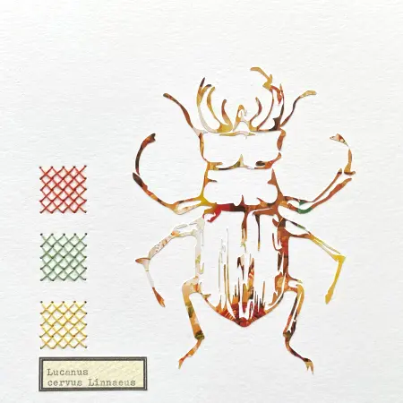 Renee Toonen, Tor Lucanus 2, 55 euro, Paper cutting with embroidery in wooden frame, 18x18 cm