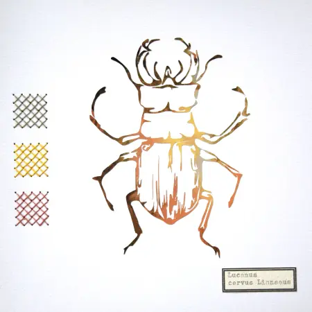 Renee Toonen, Tor Lucanus, 55 euro, Paper cutting with embroidery in wooden frame, 18x18 cm