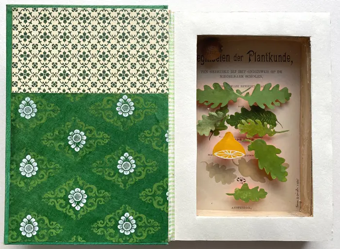 Tamar Rubinstein, Beginselen van de plantenkunst, 195 euro, Mixed media in book, 20x27 cm