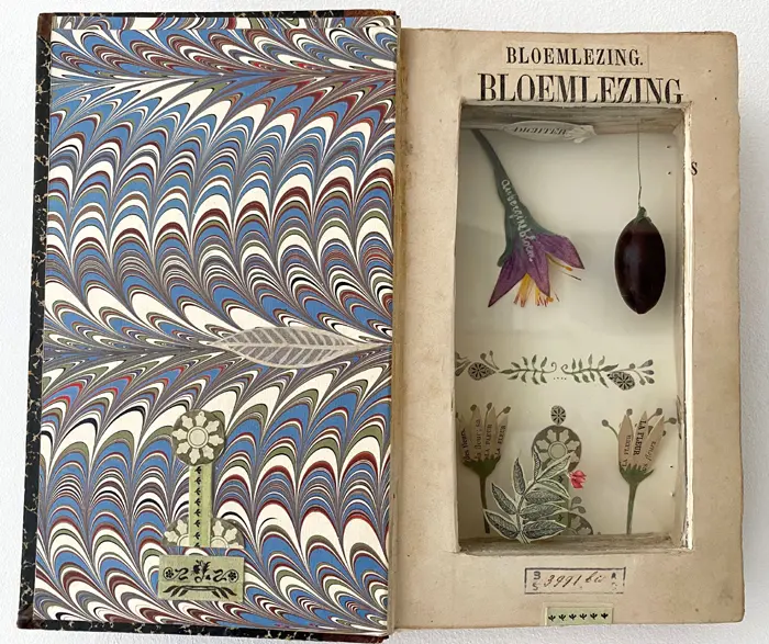 Tamar Rubinstein, Bloemlezing, Mixed media in book, 22x26x4 cm, €.175,-