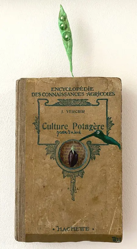 Tamar Rubinstein, Groetenboek, 125 euro, Mixed media with book, 27x12 cm