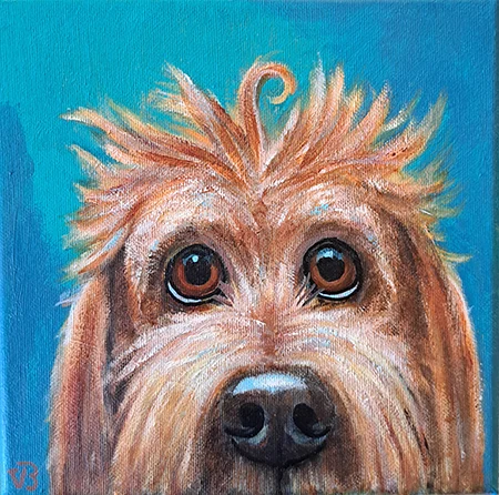Vilma van den Berg, Hond koekeloeren, 225 euro, Acrylic on canvas in frame, 20x20 cm