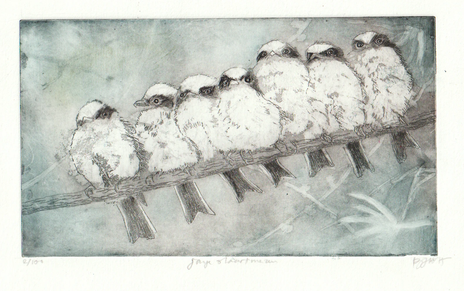 Barbara Wichers Hoeth, Jonge staartmezen, 225 euro, Etching in natural wooden frame with glass, 31x21 cm